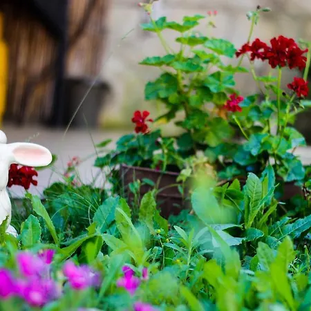 Maris Къща за гости Обзор