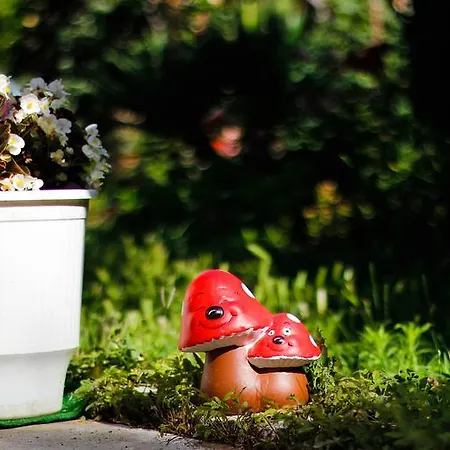 Къща за гости Maris 2*